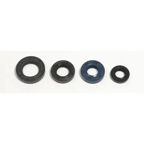 Serie Paraolio Motor