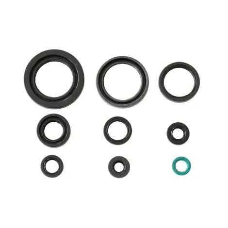 Serie Paraolio Motor