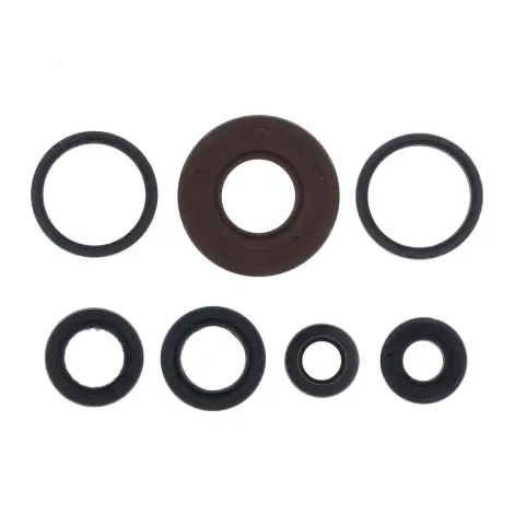 Serie Paraolio Motor