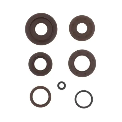 Serie Paraolio Motor