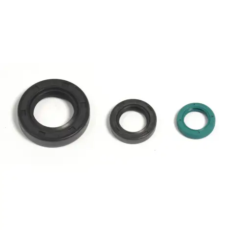 Serie Paraolio Motor
