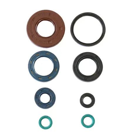 Serie Paraolio Motor