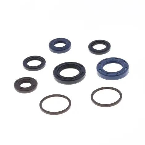 Serie Paraolio Motor