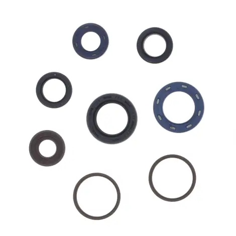 Serie Paraolio Motor
