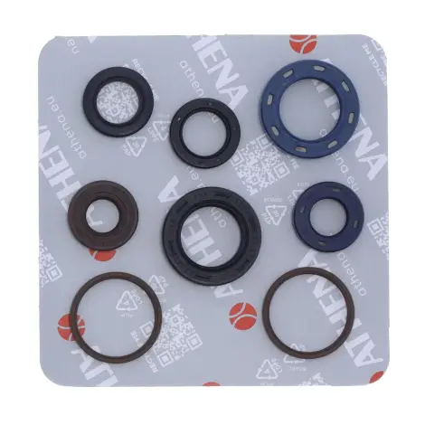 Serie Paraolio Motor
