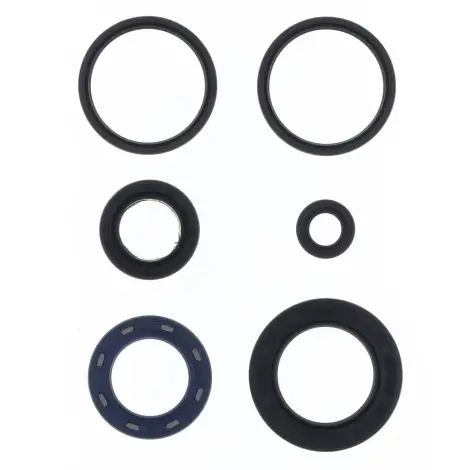 Serie Paraolio Motor