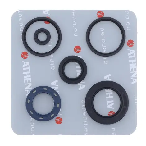 Serie Paraolio Motor