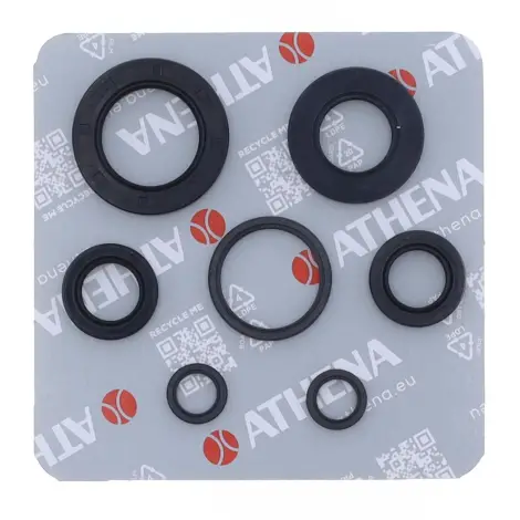 Serie Paraolio Motor