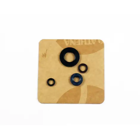 Serie Paraolio Motor