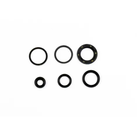 Serie Paraolio Motor