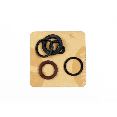 Serie Paraolio Motor