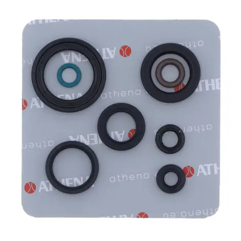 Serie Paraolio Motor