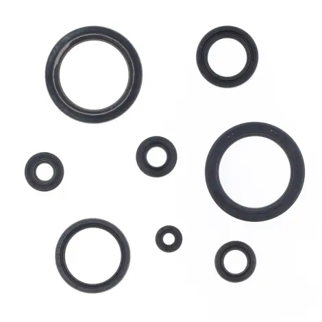 Serie Paraolio Motor
