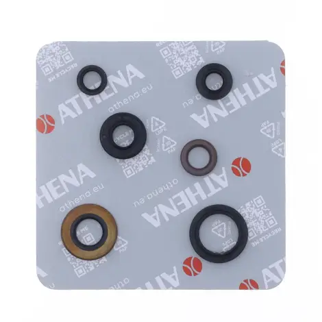 Serie Paraolio Motor