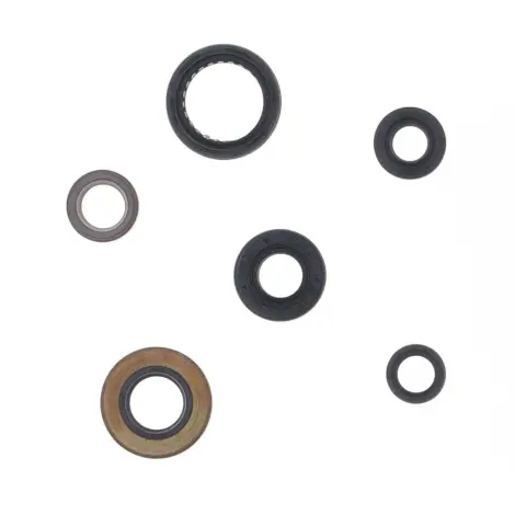 Serie Paraolio Motor