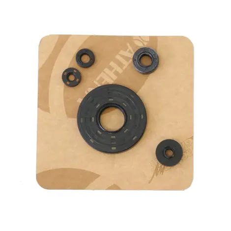 Serie Paraolio Motor