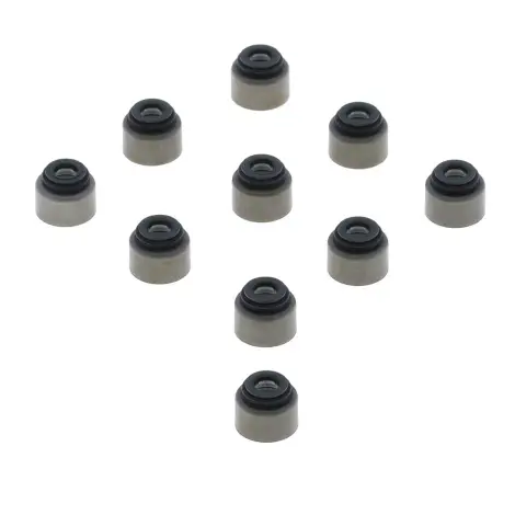 Serie Paraolio Guida