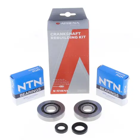 Kit Revisione Albero