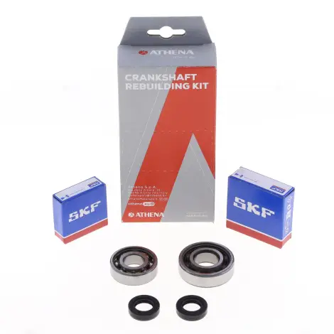 Kit Revisione Albero