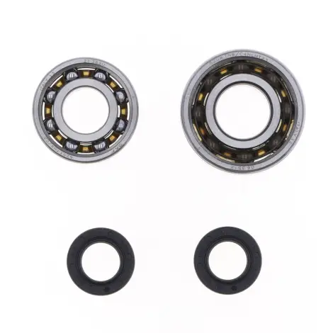 Kit Revisione Albero