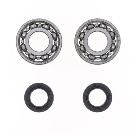 Kit Revisione Albero