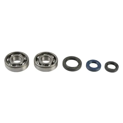 Kit Revisione Albero