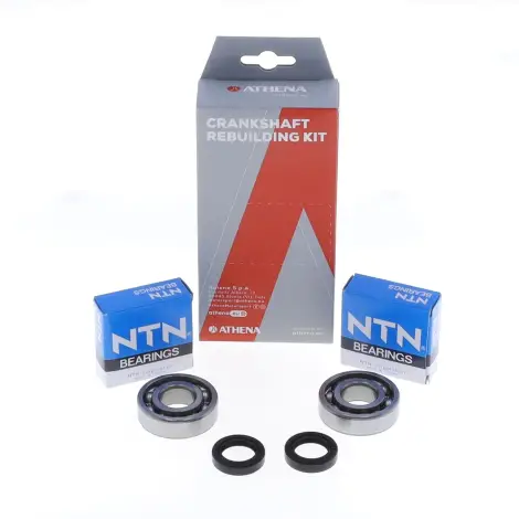 Kit Revisione Albero