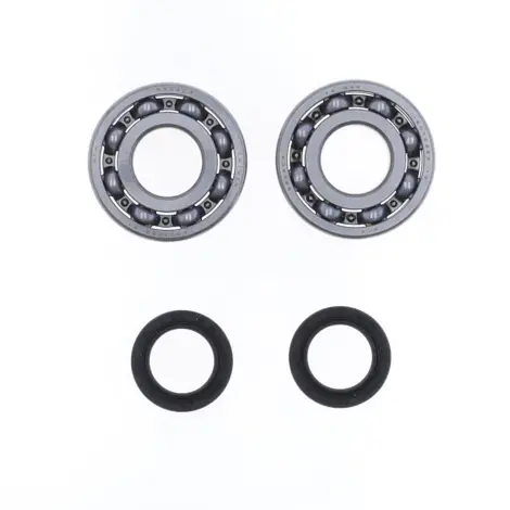 Kit Revisione Albero
