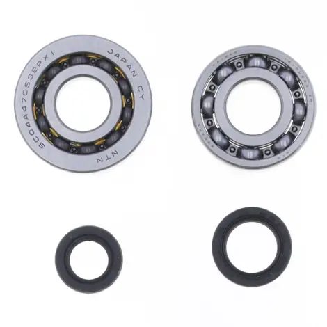 Kit Revisione Albero