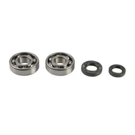 Kit Revisione Albero