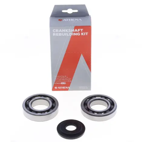 Kit Revisione Albero