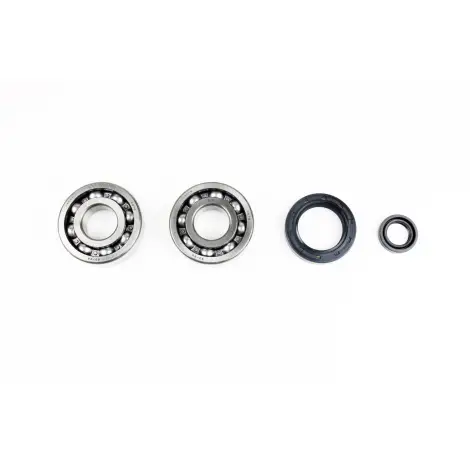 Kit Revisione Albero