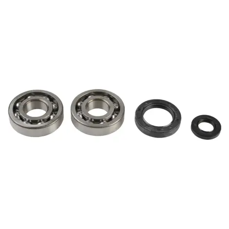 Kit Revisione Albero