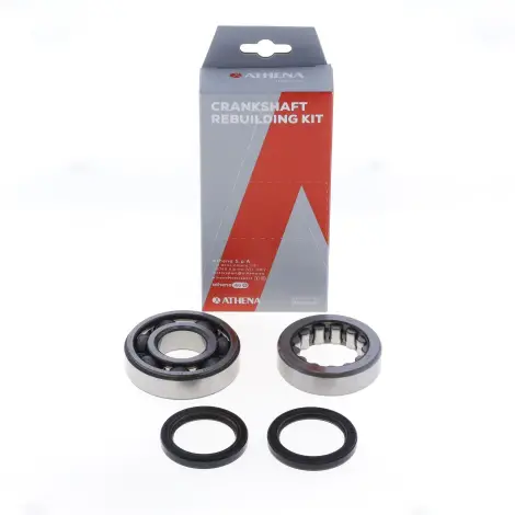 Kit Revisione Albero
