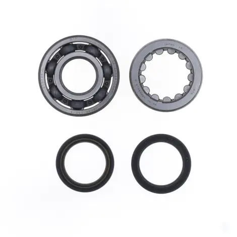 Kit Revisione Albero