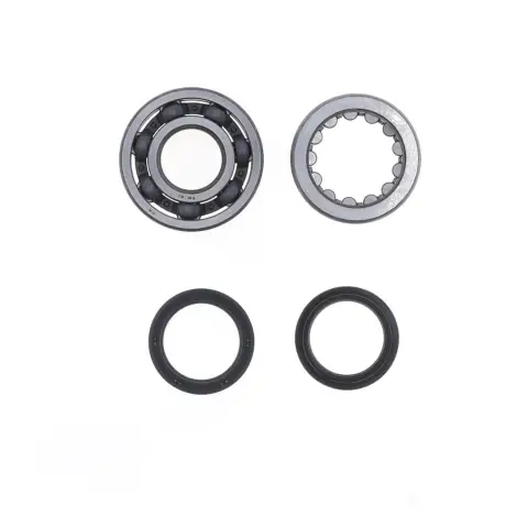 Kit Revisione Albero