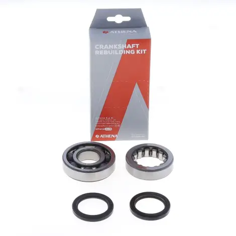 Kit Revisione Albero