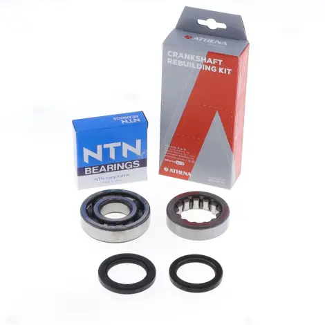 Kit Revisione Albero