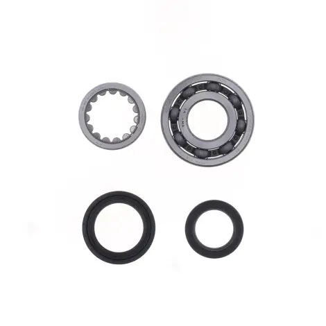Kit Revisione Albero
