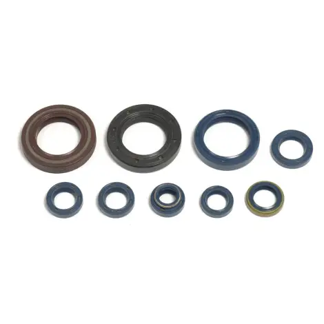 Serie Paraolio Motor