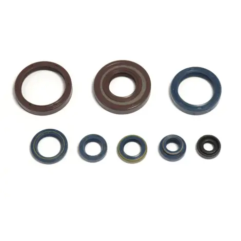 Serie Paraolio Motor