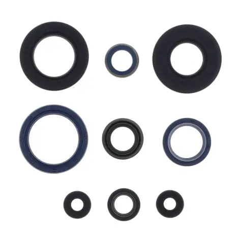Serie Paraolio Motor
