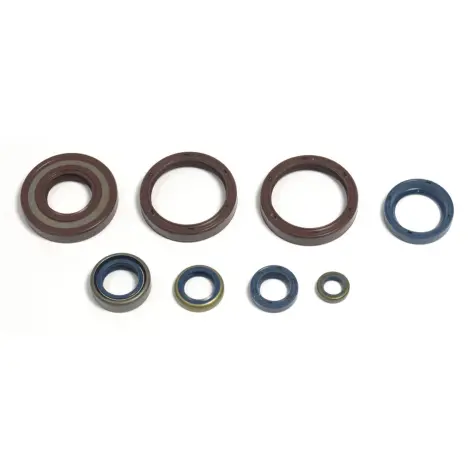 Serie Paraolio Motor