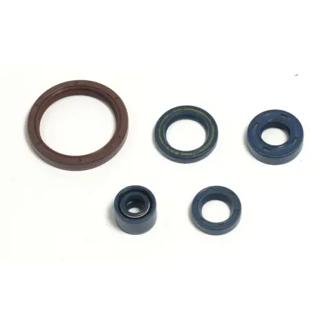 Serie Paraolio Motor