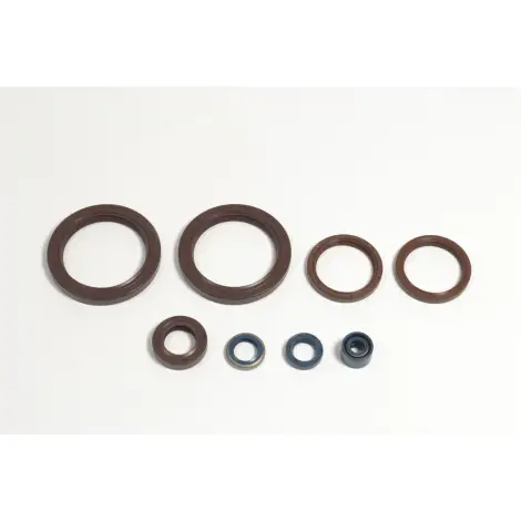 Serie Paraolio Motor