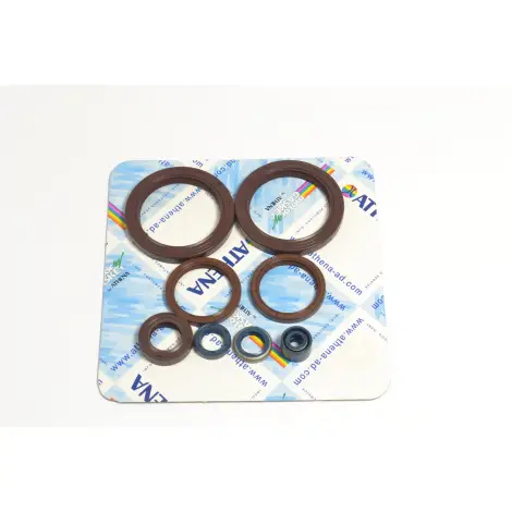 Serie Paraolio Motor
