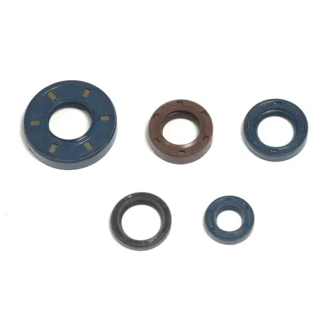 Serie Paraolio Motor