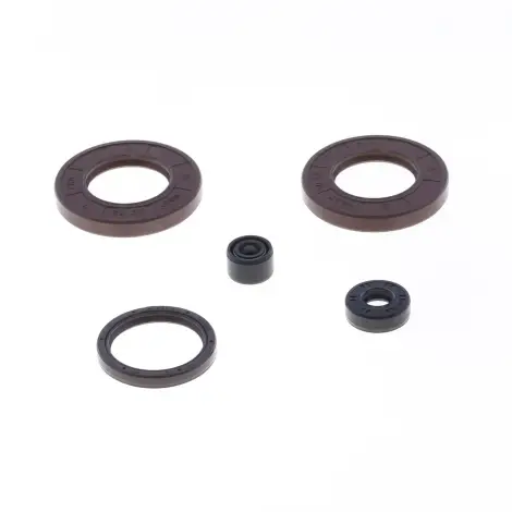 Serie Paraolio Motor