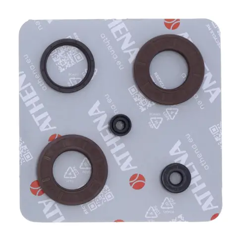 Serie Paraolio Motor