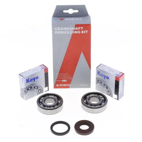 Kit Revisione Albero